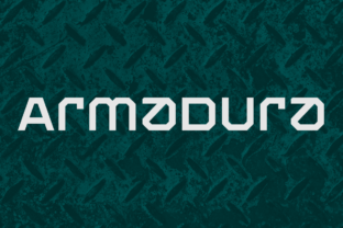Armadura Family: A Bold Choice for Digital Branding