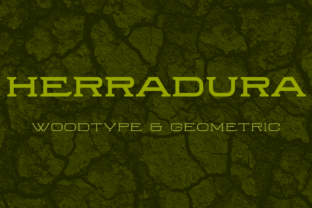 Boost Your Brand with Herradura Family: A Powerful Display Font for Small Businesses