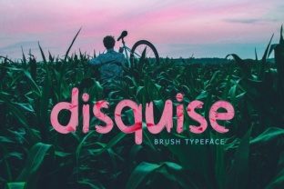 Disquise: A Handwritten Font That Elevates Web Design