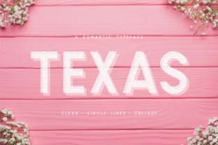 Font That Fits Your Brand: Texas a Romantic Typeface