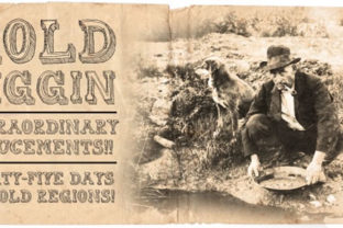 Gold Diggin: A Font That Adds Character to Your Web Design
