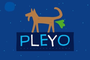 Pleyo: The Font That Fits Every Brand Moment