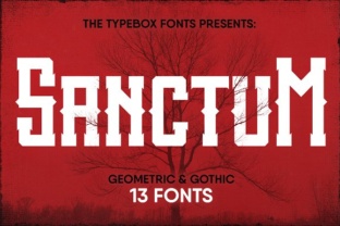 Sanctum Inky Collection: The Font That Elevates Your Brand