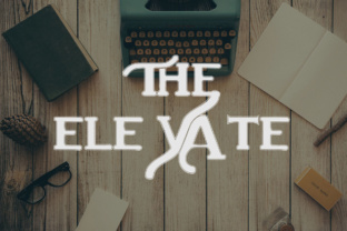 The Elevate Font: A Versatile Display Family for Modern Branding